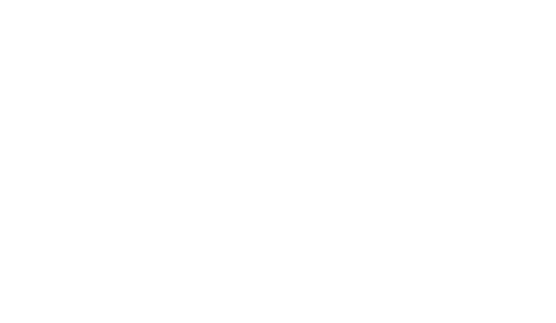 Enjoy Data